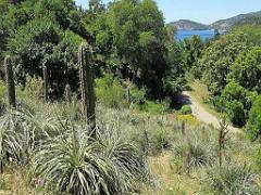 183 D26 Rayol Canadel 1_000022